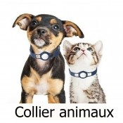 Collier animaux Airtag